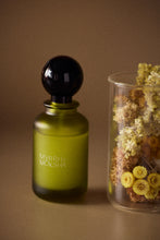 Load image into Gallery viewer, luminary